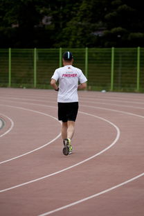 乐鱼体育平台-高校运动训练效果科学评估研究，运动训练高校排名