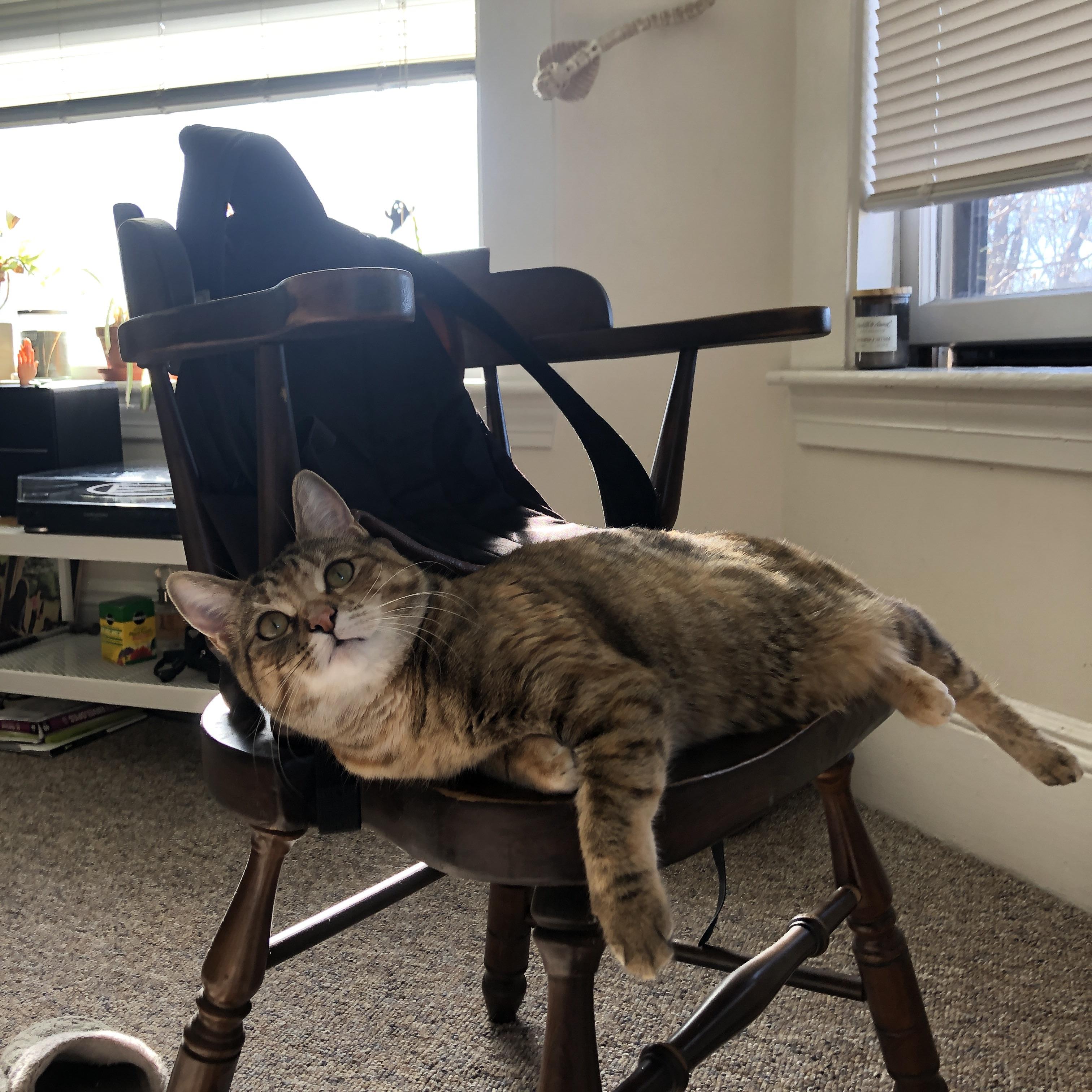 乐鱼体育平台登录-Yıldız成为小组赛明星球员之一