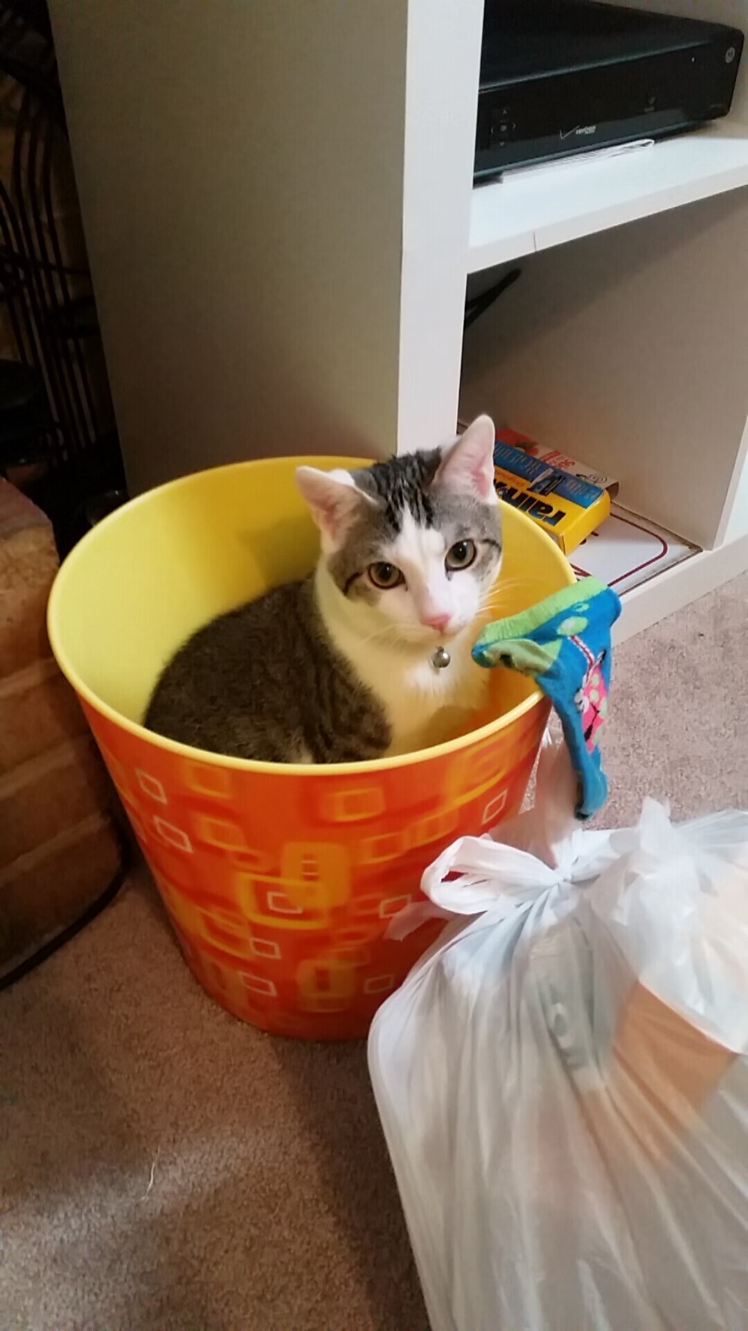 东亚杯中国足球战平 球迷希望加强磨合，东亚杯国足大名单