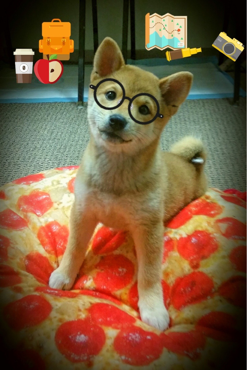 “高新体育中心网球赛：选手突破极限，赛场紧张刺激”