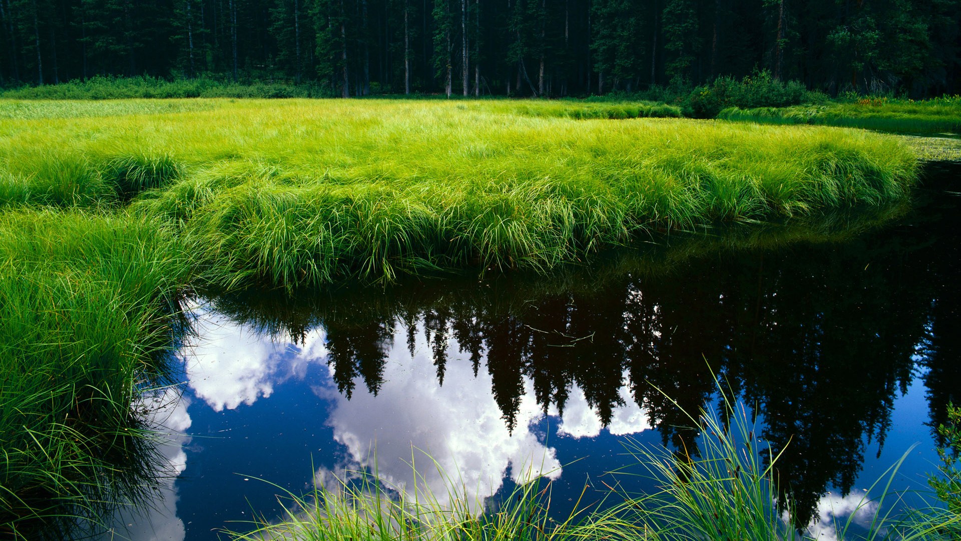 乐鱼体育app官网入口-中国女篮连续取得重要胜利，中国女篮几连胜了