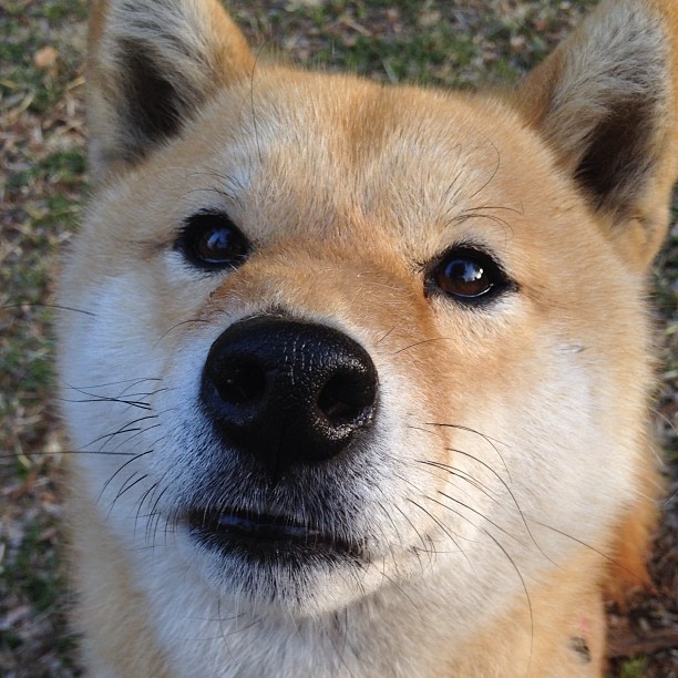 后防漏洞多次被对手利用，后防线是什么意思