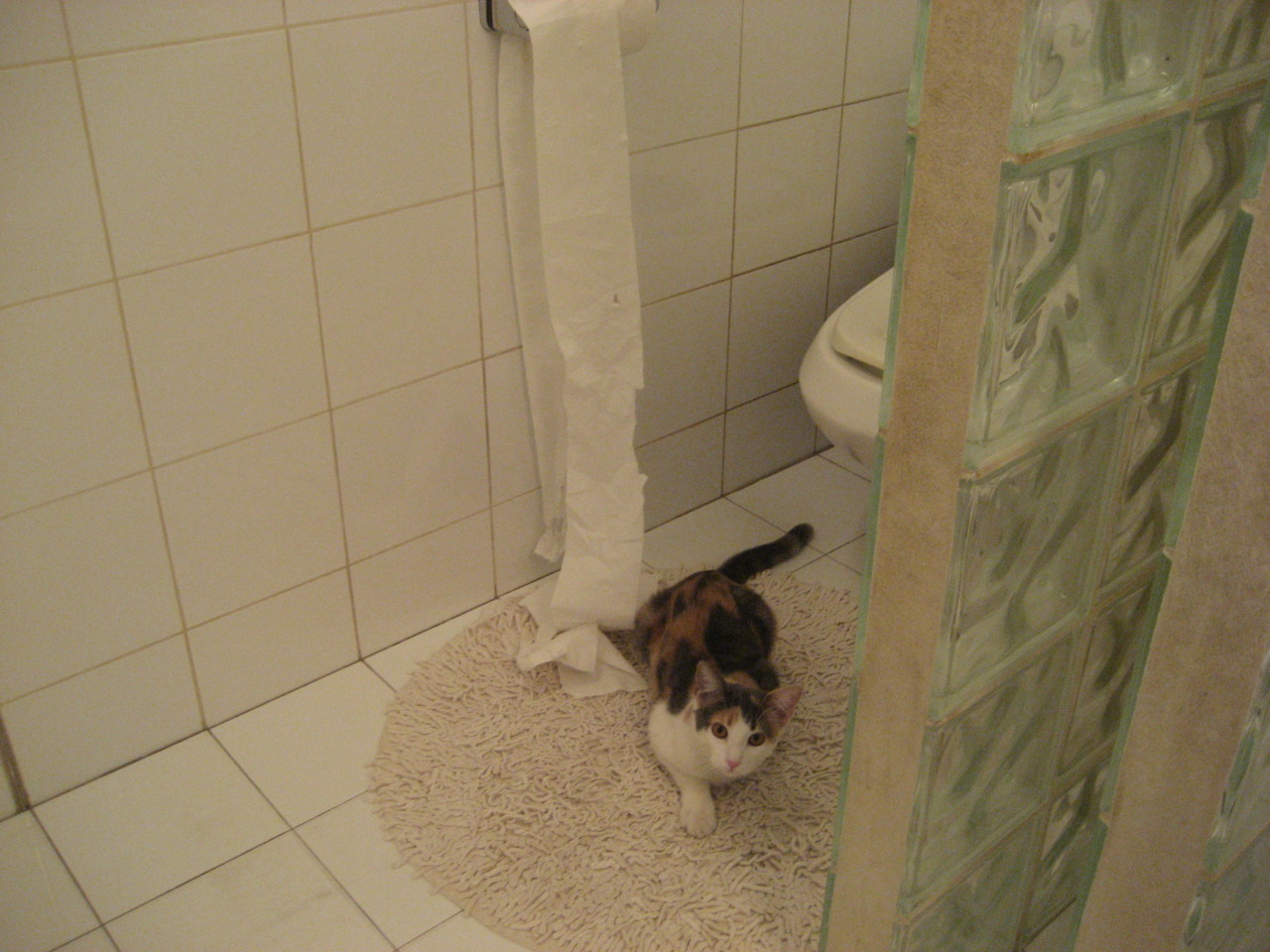 球星轮休对全队节奏的影响分析，nba球员轮休会扣钱吗