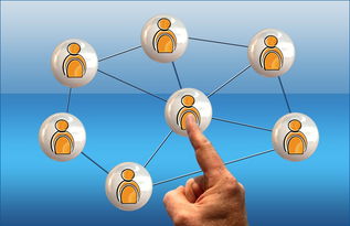 乐鱼体育官网下载-高校电竞联赛冠军诞生 战术与团队缺一不可，高校电竞联盟挑战赛全国总决赛