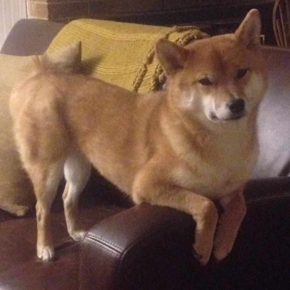 乐鱼体育官网优惠-凯琳·科贝特技术细腻后程加速显神威，凯特琳max