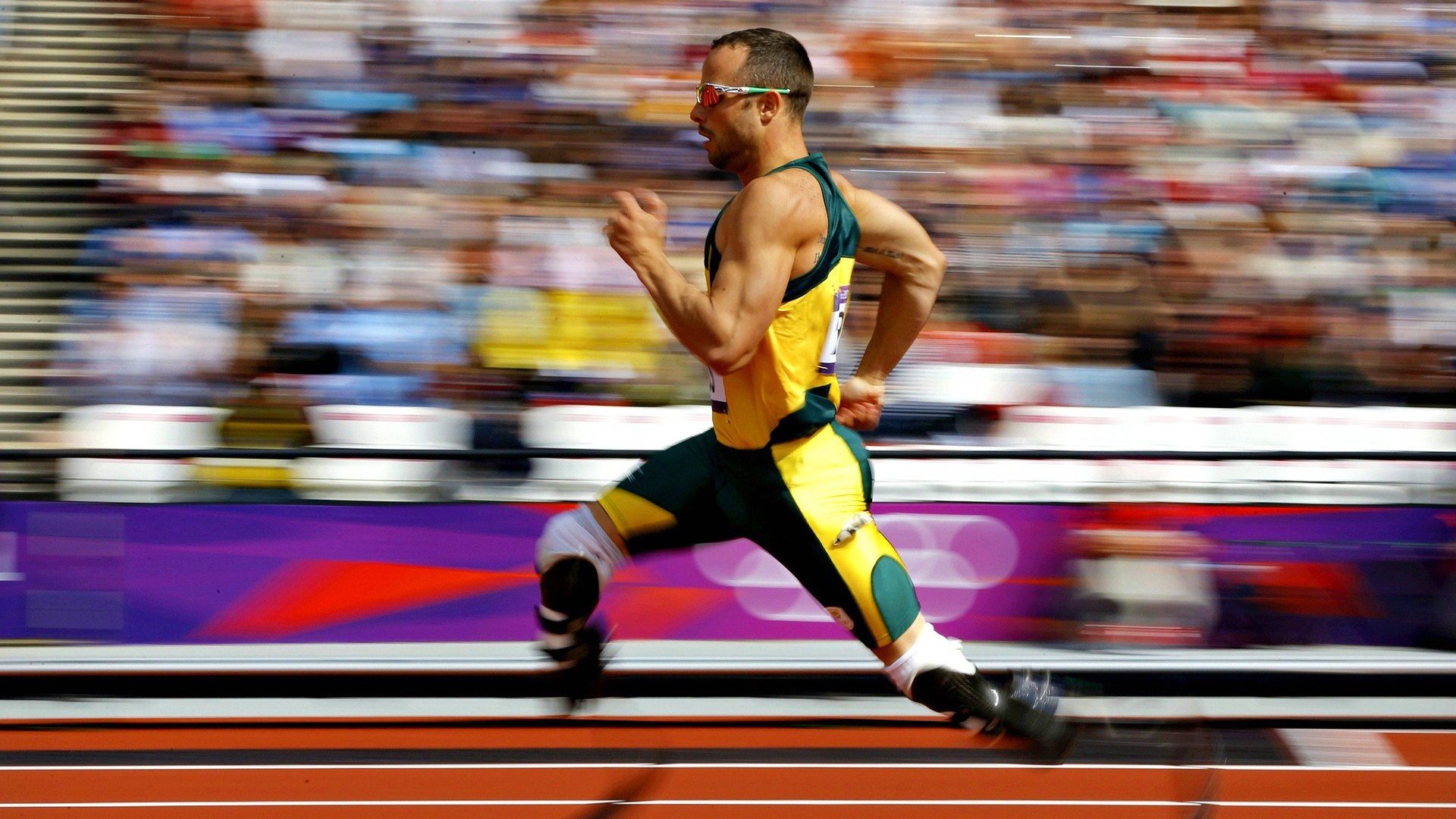 哈伦蝶泳决赛成新星展示舞台