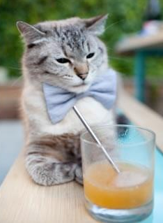 乐鱼体育网址-基层联赛冠军受邀观看国家队比赛体验职业氛围提升梦想感，国家队训练赛